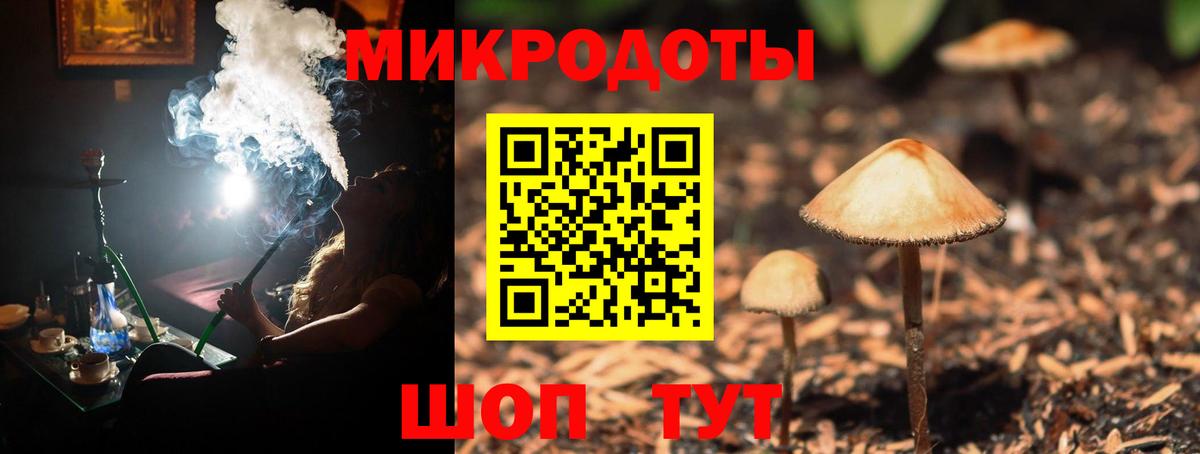 Псилоцибиновые грибы прущие грибы Назарово